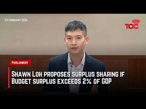 Shawn Loh proposes surplus sharing if Budget surplus exceeds 2% of GDP
