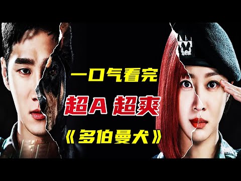 【一口气看完】超A女主暴爽复仇，魑魅魍魉全部俯首称臣《多伯曼犬》