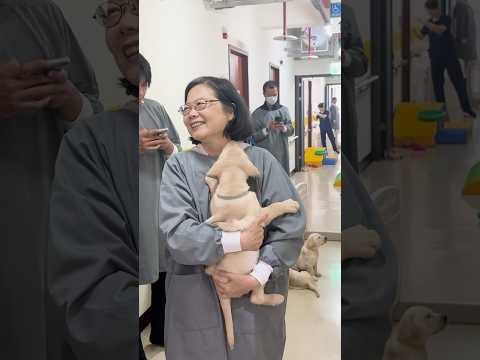 國際導盲犬日，小英總統看到狗狗好開心🤩
