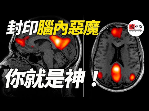 大腦裏藏着一個“偷電狂魔”？ 佛家、道家和科學家都在研究的祕密：如何破解大腦的“默認模式”？幫你奪回90%創造力！|seeker大师兄