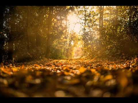 الإيمان بالقدر للشيخ عبد الرزاق البدر حفظه الله