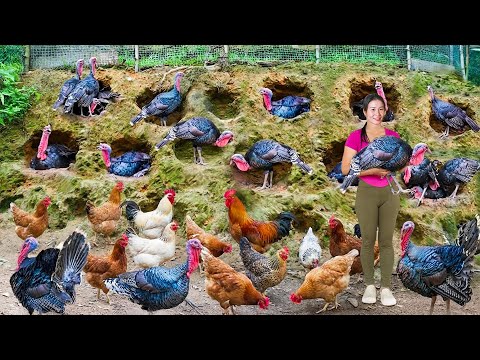Harvesting 1000+ Giant Turkeys, Use 4-Wheel Truck Go to Market Sell & Cook Spicy Banana Soup