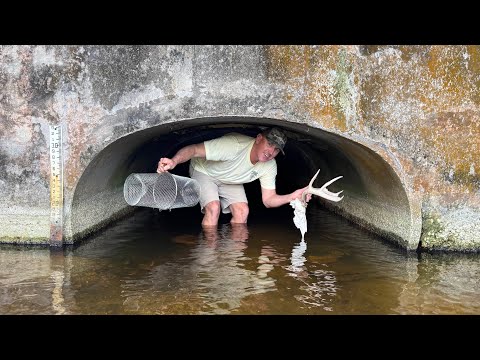 The BEST Fishing Spot EVER, Literally HUNDREDS of FISH! (Catch & Cook)