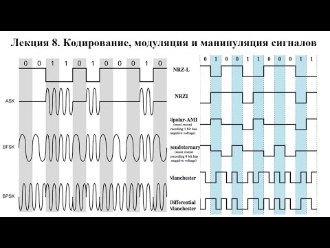 Lecture 8. Coding, modulation and manipulation of signals.