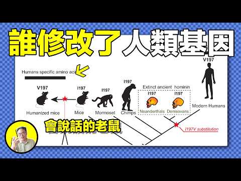 實驗造出會說人話的老鼠？為老鼠添加「人語基因」，揭秘困住進化的基因鎖：尼安德特人因它死於癲癇，我們卻開啟了文明......｜總裁聊聊