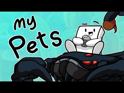 Weird Pets I Had