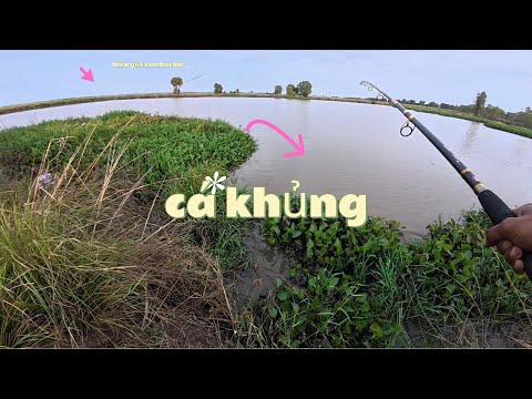 câu cá vùng biên giới về đêm cá khủng thì nhiều mà sợ quá