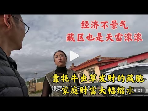 中国经济不景气 藏区也是天雷滚滚 靠牦牛虫草发财的藏胞 家庭财富大幅缩水