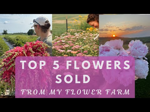 Top 5 flowers sold from my flower farm in 2024 to florists