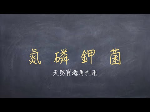 自製天然氮磷鉀液肥 | 施肥兼養地一舉兩得｜友善耕種