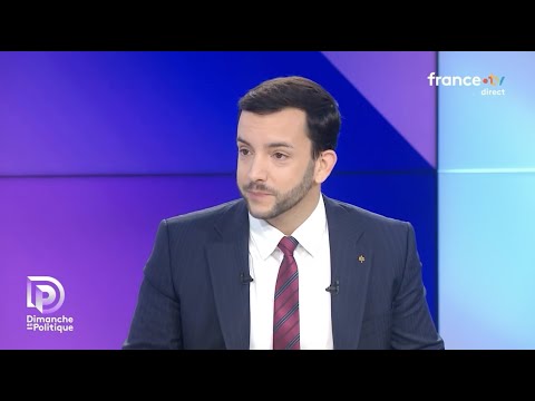 Jean-Philippe Tanguy : "Les députés LR ont trahi leurs électeurs !" (France 3)