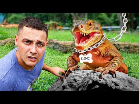 I Got A PET Dinosaur…