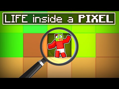 Life Inside 1 PIXEL!