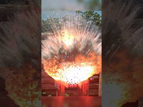Firework vs Watermelon!