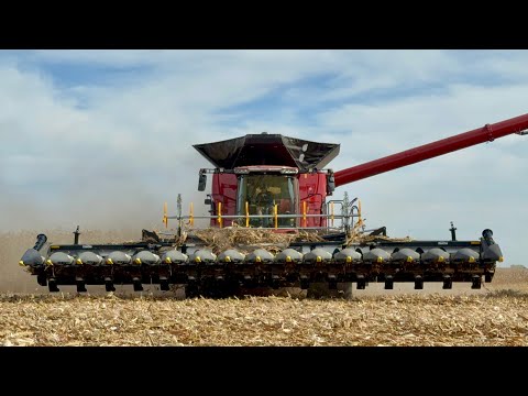 2025 Case IH AF10 Combine Demo | In the Field with 5th-Generation CaseIH Dealer Michael Schmidt