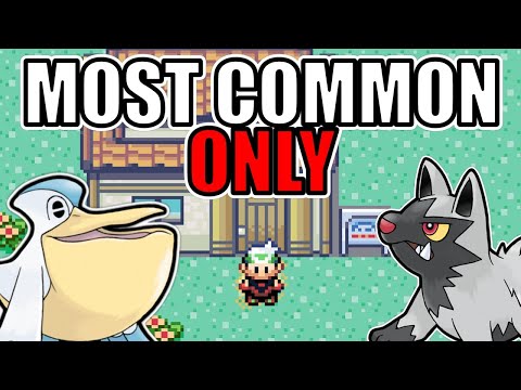 Beating Pokémon Emerald with the Most Common Pokémon Team
