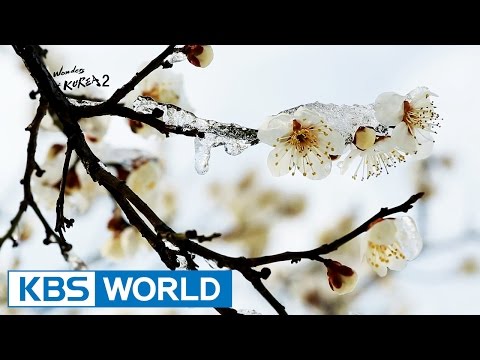 Noble Spirit of Life, Four Gracious Plants [The Wonders of Korea 2 / 2016.10.28]