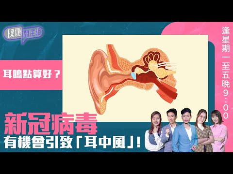 健康關注組|耳鳴點算好?新冠病毒有機會引致「耳中風」!|HOY TV|77台|敖嘉年|黃芳雯