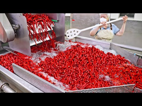 5000 KG of Peppers Used！Chili Soybean Paste Mass Production Process/5000公斤辣椒使用！辣椒豆瓣醬大量生產, 豆瓣燴魚-明德食品