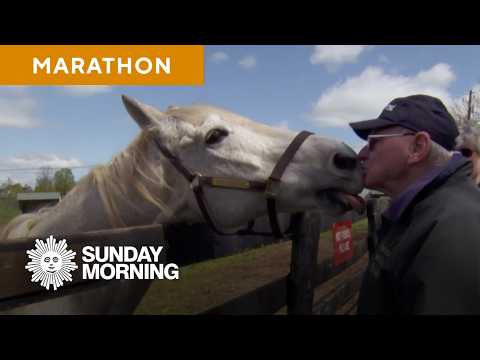 Unique retirement homes — for everyone