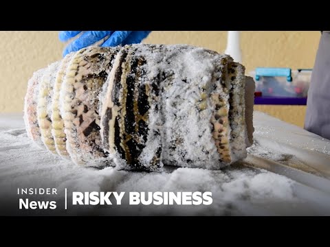 How People Hunt Invasive Pythons And Turn Their Skin Into Leather | Risky Business