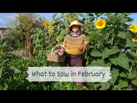 Sow Now in Cool Regions of Australia - February - Vegetable, Herb and Flower Garden Zone 9B