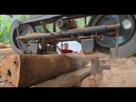 Sawing down a big tree is very easy for the girl