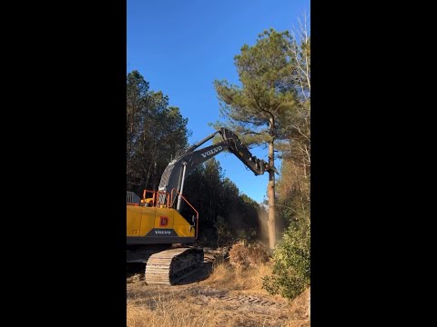Ripping Out Trees W/ LetsDig18