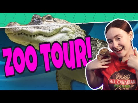 Touring Canada's LARGEST Reptile Zoo! Does REPTILIA Live Up To The Hype?
