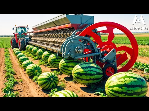 45 Expensive Agricultural Machines Working at Another Level | Most Powerful Farm Equipment ▶ 1