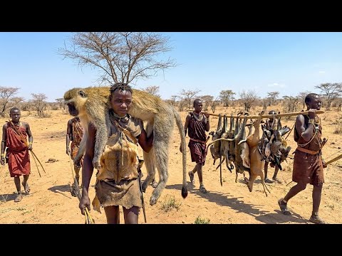 Inside Hadzabe Tribe: Ancient Baboon Hunting and Traditional Survival Life in the African Wilderness