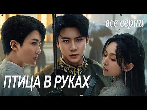 Птица в руках ВСЕ СЕРИИ, ФИЛЬМ дорама Садистская любовь, Sadistic Love, 掌中雀