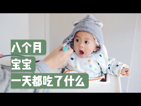 我家八个月宝宝一天吃了些什么