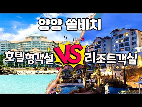 양양 쏠비치 호텔형 리조트형 한 눈에 보는 객실 차이 | 리조트전문가 소노형이 알려주는 팁