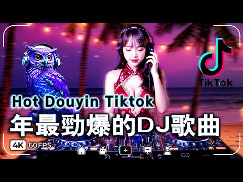 2026年最新dj歌曲【2025十一月最火的歌曲排行榜】Hot Douyin Tiktok 抖音版2026超好听热门DJ小曲/2025最火中文DJ舞曲串烧🔥车载劲爆Remix合集，夜店嗨翻全场！