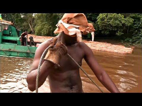 Gabon: The cursed wood | Roads of the impossible