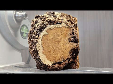 NOTHING SPECIAL? Just look what I found hiding inside with False Acacia Burl