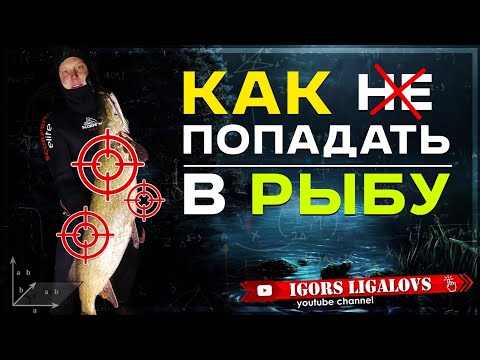 Как научиться точно стрелять и попадать в рыбу на подводной охоте