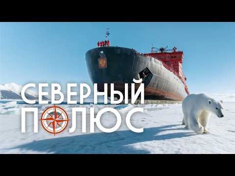 Полюс: Мечта о Севере. Путешествие на атомном ледоколе глазами члена команды