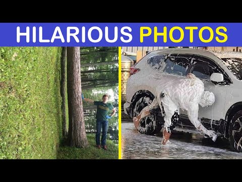 Warning: These Hilarious Photos May Cause Extreme Procrastination | Happy And Fun