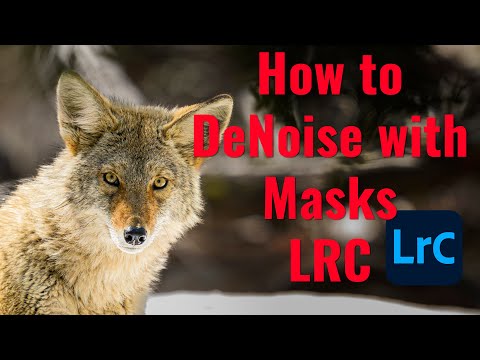 DeNoise in Lightroom Classic with Masks!