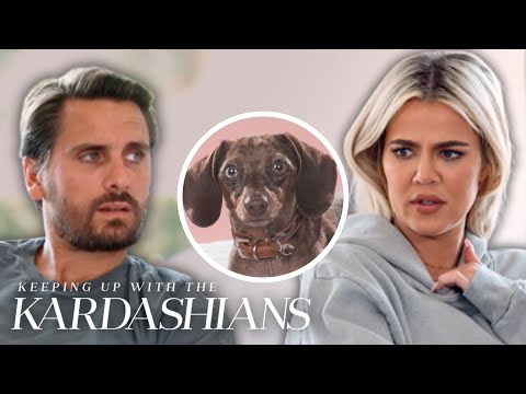 Khloé Kardashian Gets Dragged Into Scott Disick’s Over-the-Top Dog Show Plans | KUWTK | E!