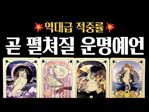 [타로] 🚨 사주보다 정확한❗곧 펼처질 3가지 운명 예언