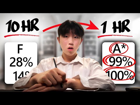 How I study a WEEK'S worth in 1 day (and you can too)