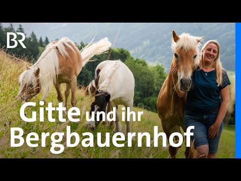 Pferde und Rinder halten: Gitte und ihr Traum vom Bergbauernhof | Landfrauenküche | BR