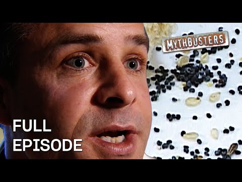 The Poppy-Seed Drug Test! | MythBusters | Season 1 Episode 16 | Full Episode