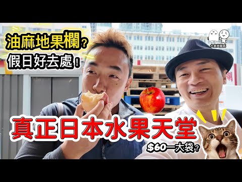 香港假日好去處丨日本蘋果大王就在油麻地？丨大島與龍威