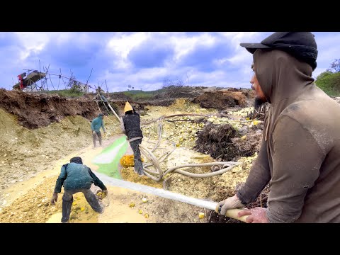 HOT EVERY TIME.! BECOME A SUCCESSFUL PERSON, A GOLD TREASURE HUNTER IN THE JUNGLE ~ TESOROS