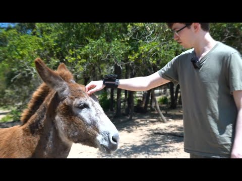 Making new friends at Alveus Sanctuary