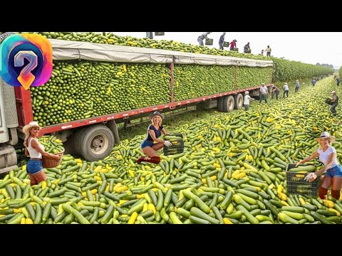 НОВЫЙ уровень сельхозмашин — как фермеры собирают миллиарды тонн пищи в крупнейших урожаях!